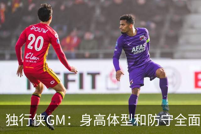 独行侠GM：身高体型&防守全面性是选择球员的首要目标