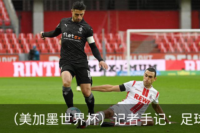 （美加墨世界杯）记者手记：足球世界，规则谁定？
